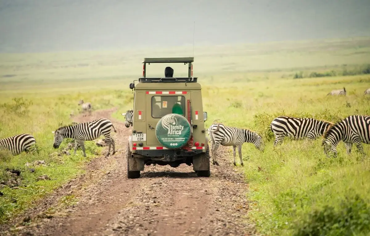 An Eternity Africa safari vehicle among zebras on a track in Tanzania