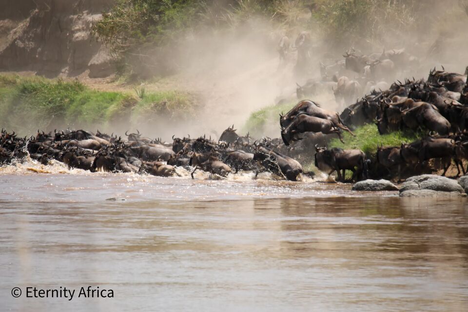 Tanzania National Parks